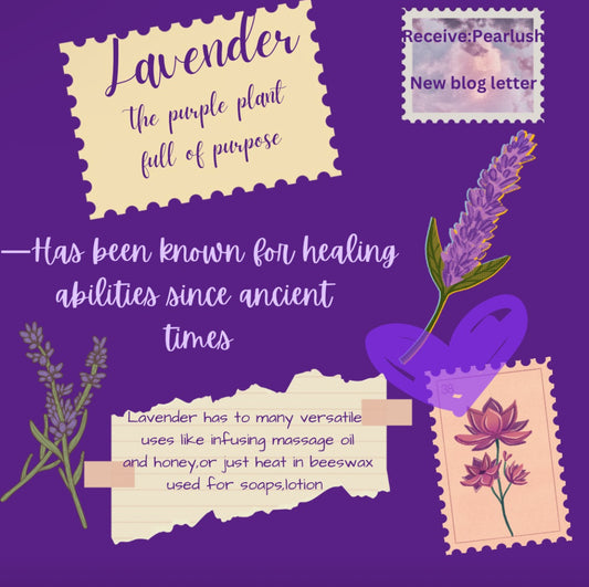 Lavender:A plant full of purpose